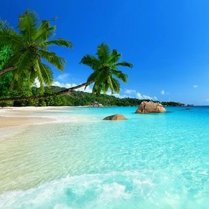 Meet your Posher, Carey